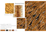 create custom textile and surface pattern design